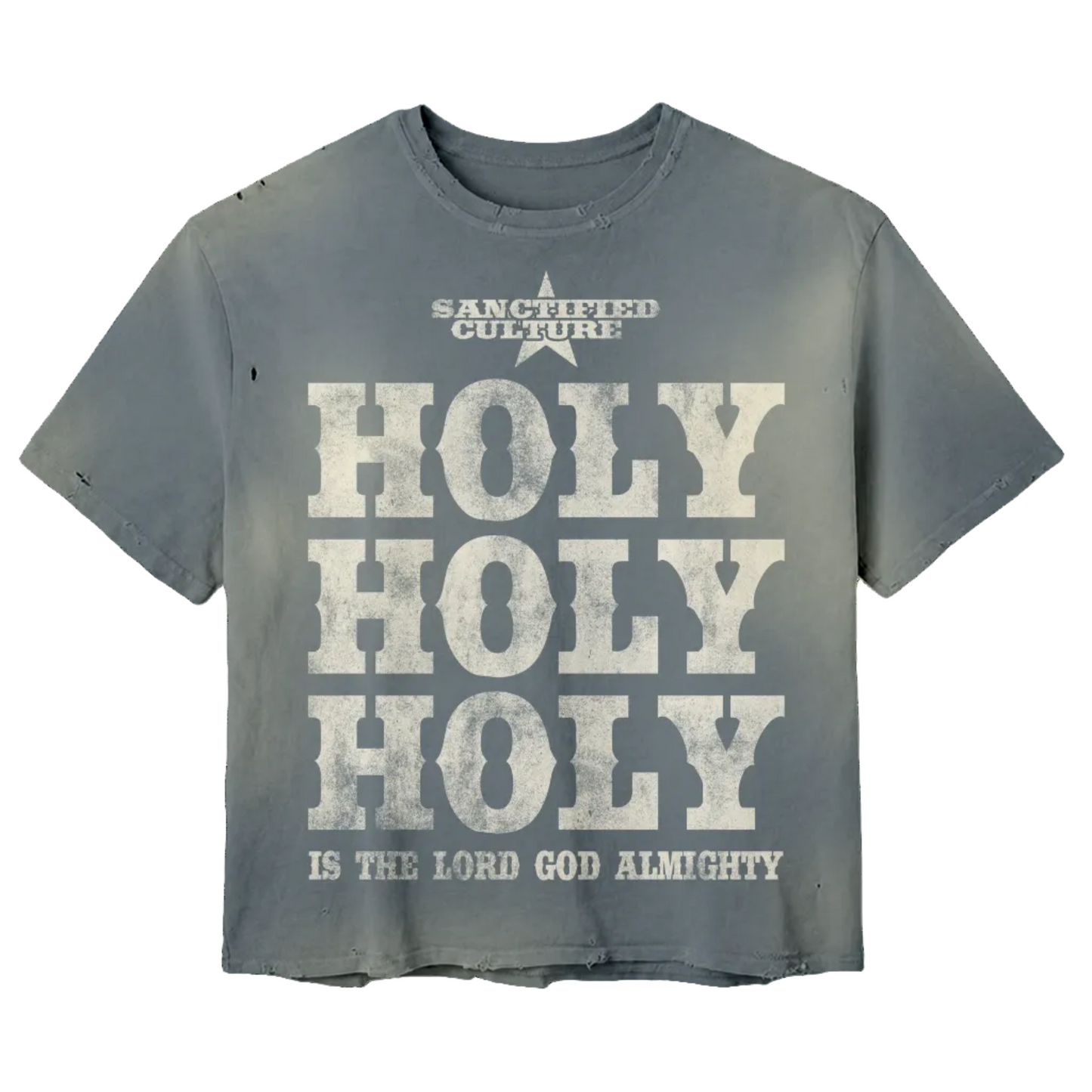 Holy Holy Holy Distressed Tee