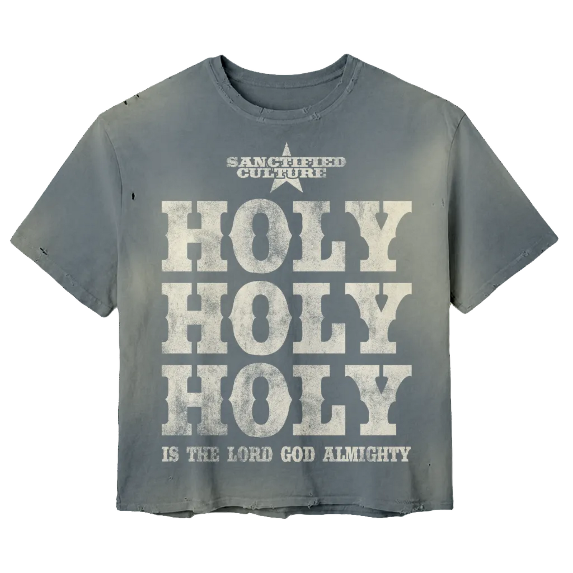 Holy Holy Holy Distressed Tee