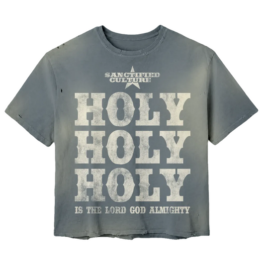 Holy Holy Holy Distressed Tee